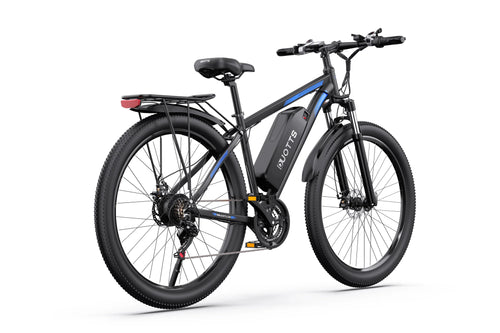 DUOTTS C29 Elcykel