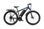 DUOTTS C29 Elcykel