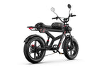 DUOTTS F20 Elcykel