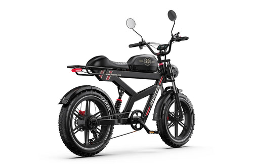DUOTTS F20 Elcykel
