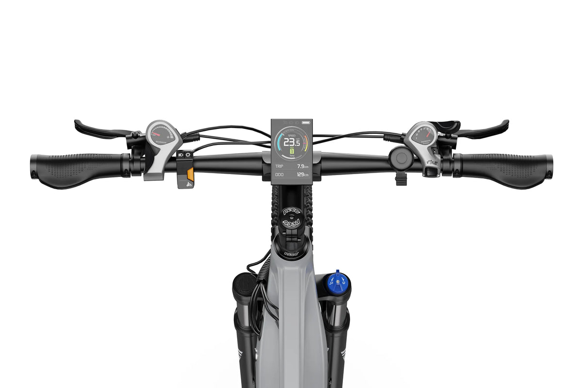 DUOTTS E29 El mountainbike