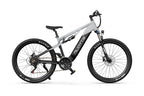 DUOTTS E29 El mountainbike
