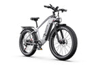 DUOTTS F26 Lite Elcykel
