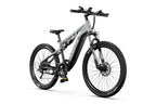 DUOTTS E29 El mountainbike