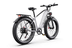 DUOTTS F26 Lite Elcykel