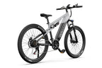 DUOTTS E29 El mountainbike