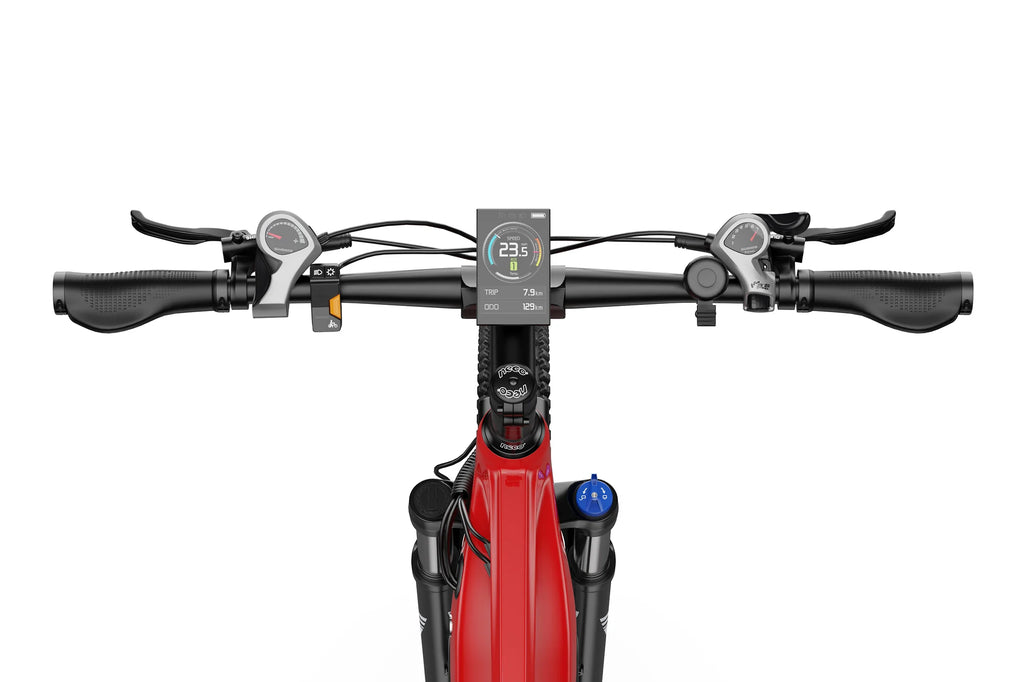 DUOTTS E29 El mountainbike