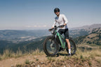 DUOTTS E26 El mountainbike