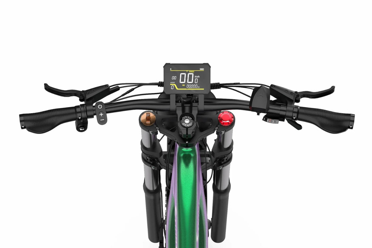 DUOTTS E26 El mountainbike