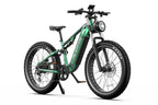 DUOTTS E26 El mountainbike