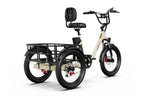 Onesport OT30 Pro Trehjulet elcykel