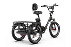Onesport OT30 Pro Trehjulet elcykel